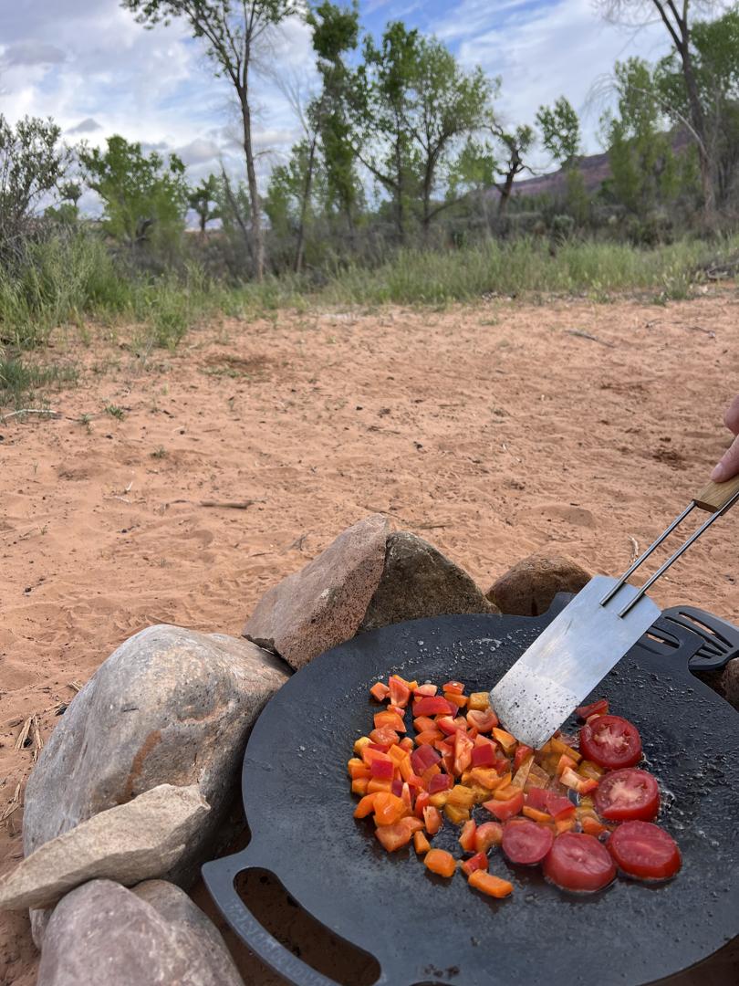 Campfire cooking of veggies like tomatoes and peppers