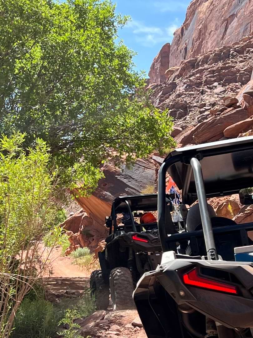 RZR tour through canyon with greenery in Utah