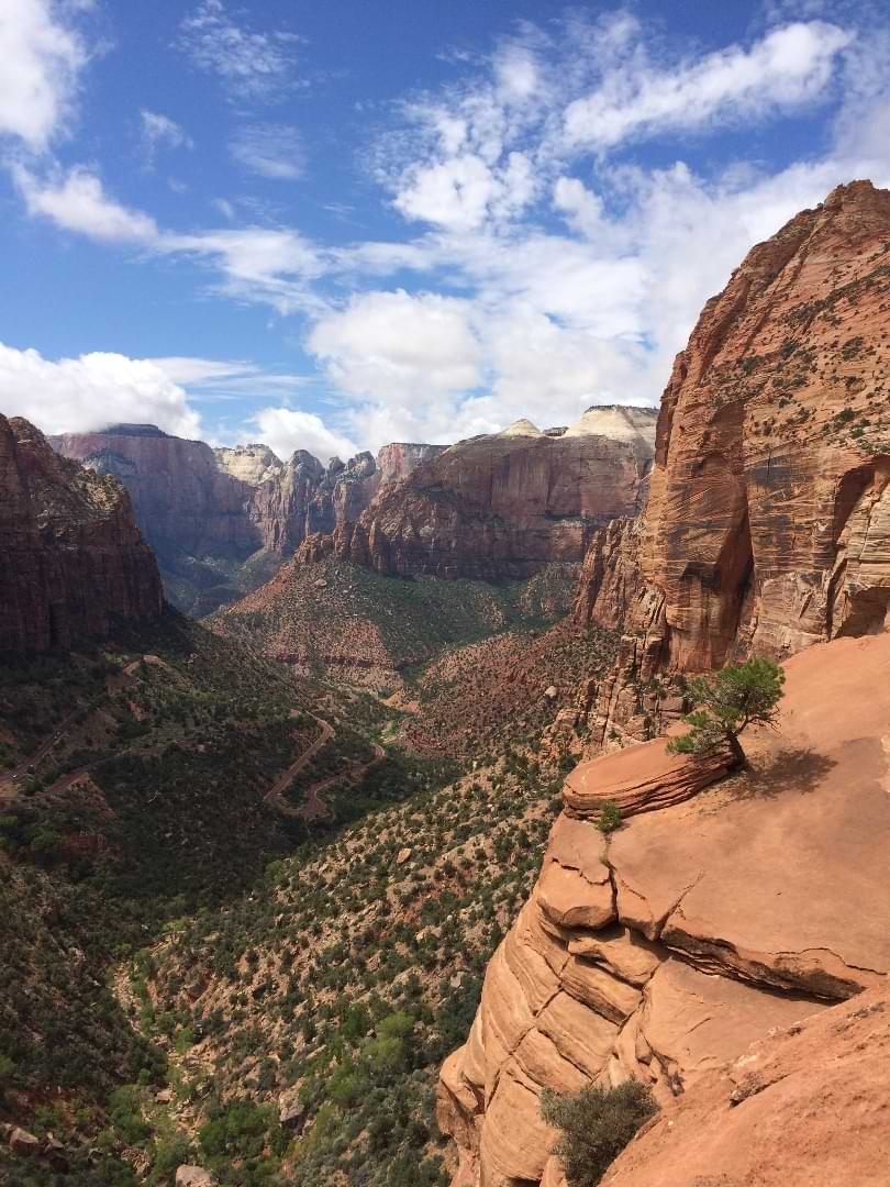 Scenic overlook of Zion National Park’s majestic canyons and valleys